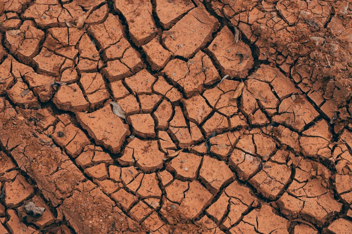 Dry red clay soil shrunk into a network of deep cracks in summer heat, the same expansive clay that moves under Waco foundations